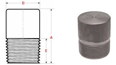 ASME B 16.11 Threaded Round Head Plug 