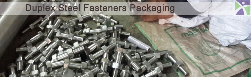 SAF 2205 F60 F51 S32205 S31803 Duplex stainless steel 2205 Fasteners / Bolts / Nuts / Washer & Screws