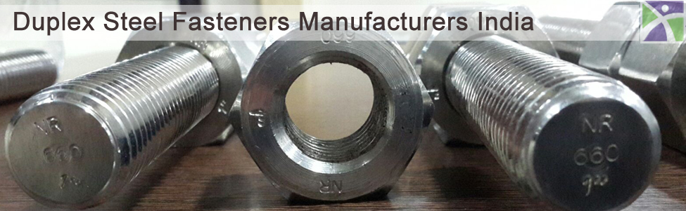 2H Heavy Hex Nuts