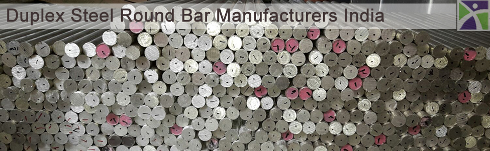 Duplex Steel Washers