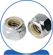 Duplex Steel Alloy 2205 SAF 2205 ® 1.4462 S32205 F60 31803 31803 1.4462 S31803 F51  Auto Locknuts