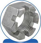 Duplex Steel Alloy 2205 SAF 2205 ® 1.4462 S32205 F60 31803 31803 1.4462 S31803 F51  Castle Nut