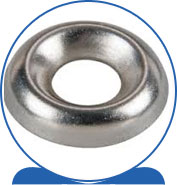 Duplex Steel Alloy 2205 SAF 2205 ® 1.4462 S32205 F60 31803 31803 1.4462 S31803 F51 Countersunk Washers