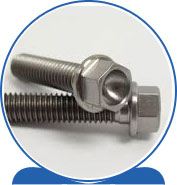 Duplex Steel Alloy 2205 SAF 2205 ® 1.4462 S32205 F60 31803 31803 1.4462 S31803 F51 Flange Bolt