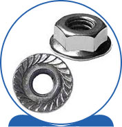 Duplex Steel Alloy 2205 SAF 2205 ® 1.4462 S32205 F60 31803 31803 1.4462 S31803 F51  Flange Lock Nut