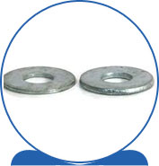 Duplex Steel Alloy 2205 SAF 2205 ® 1.4462 S32205 F60 31803 31803 1.4462 S31803 F51 Flat Washers - SAE