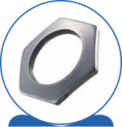 Duplex Steel Alloy 2205 SAF 2205 ® 1.4462 S32205 F60 31803 31803 1.4462 S31803 F51 Hexagonal Washers