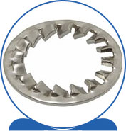 Duplex Steel Alloy 2205 SAF 2205 ® 1.4462 S32205 F60 31803 31803 1.4462 S31803 F51 Internal Tooth Lock Washers