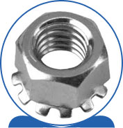 Duplex Steel Alloy 2205 SAF 2205 ® 1.4462 S32205 F60 31803 31803 1.4462 S31803 F51  K Lock Nut