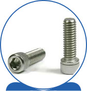 Duplex Steel Alloy 2205 SAF 2205 ® 1.4462 S32205 F60 31803 31803 1.4462 S31803 F51 L-9 Hi-Head Cap Screws