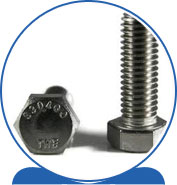 Duplex Steel Alloy 2205 SAF 2205 ® 1.4462 S32205 F60 31803 31803 1.4462 S31803 F51 Tap Bolts