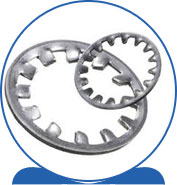 Duplex Steel Alloy 2205 SAF 2205 ® 1.4462 S32205 F60 31803 31803 1.4462 S31803 F51 Tooth Lock Washers